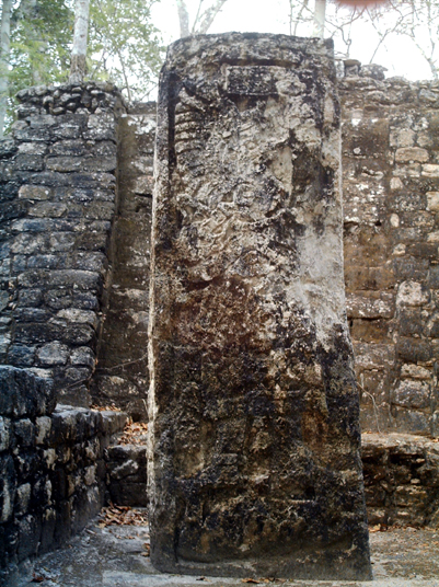 0704 calakmul 40.jpg